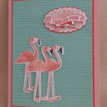 Flamingo Lingo
